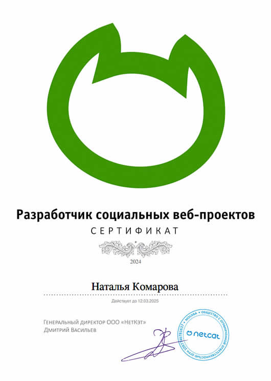 Сертификат разработчика социальных проектов
